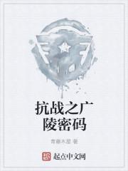 抗战密码破译