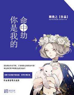 你是我的命中劫安凝衣傅君墨