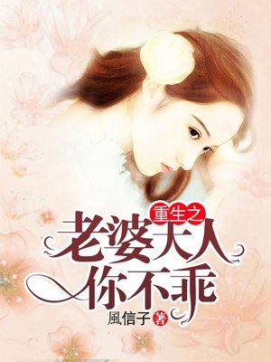 重生老婆不好惹全文阅读