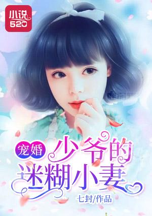 少爷的宠妻日常