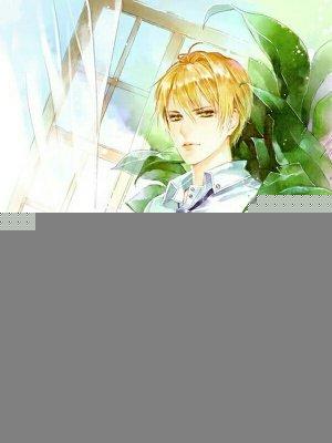 校草大人请温柔