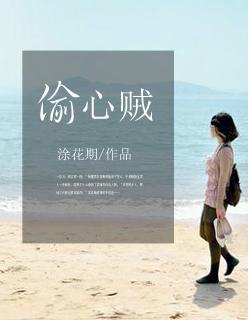 偷心贼黑龙dj版