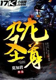 九龙圣尊三个主要身份