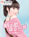 萌妻总裁找上门免费全文免费阅读