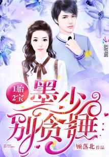 一胎两宝墨少嗜妻如命免费阅读