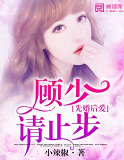 顾少慢点宠