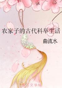 欢愉人生共522章