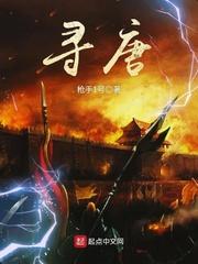 寻唐笔趣阁无弹窗无删减