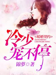 暖婚冷爱冷城北