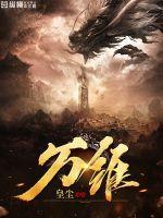 万维东咸宁