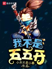 我不是五五开TXT