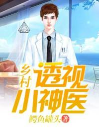 乡村透视小神医王平飞