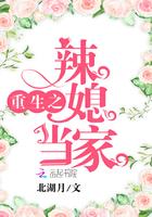 重生之辣媳当家TXT