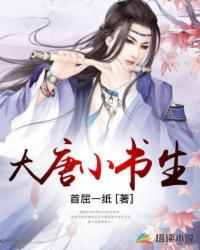 大唐小书生完整版免费观看