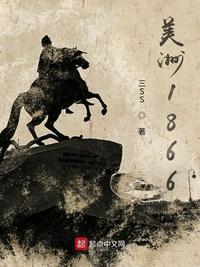 美洲二八
