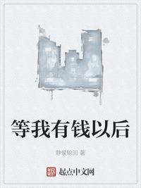 等我有钱以后TXT
