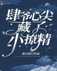 肆爷你甜度超标了免费阅读黑岩