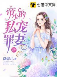 沈晚星)