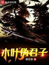 木叶伪君子书评