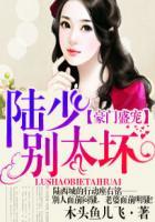 豪门盛宠陆少的暖婚新妻