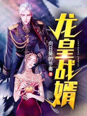 龙婿战王