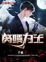 赘婿为尊沈浪免费阅读