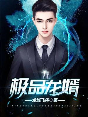 极品龙婿夜辰寒