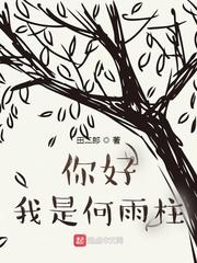 你好我是何雨柱TXT八零