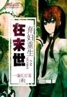 第二本弃妇重生在末世——一盏红灯笼