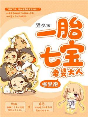 一胎七宝老婆大人哪里跑完整版
