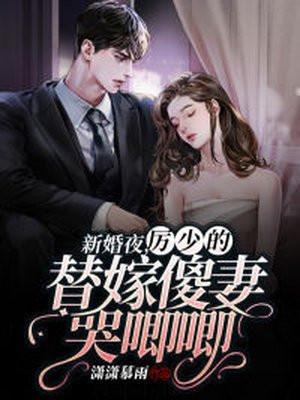 厉少的替嫁傻妻哭唧唧 潇潇慕雨