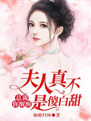 总裁夫人又迷路了苏醒全文免费