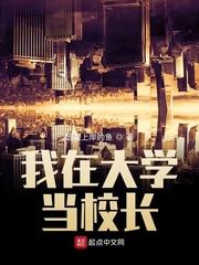 我在学校当校长那些年