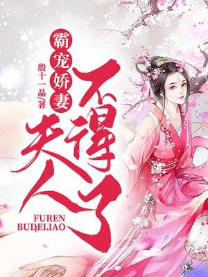 夫人不得了全文阅读