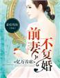 亿万前妻不二嫁