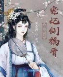 清穿之宠妃侧福晋内容差不多