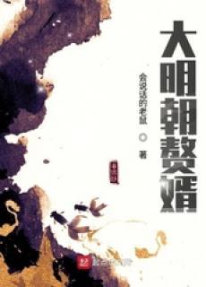 大明朝赘婿漫画