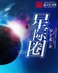 豪婿林初