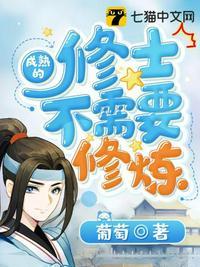 成熟的修士不需要修炼动画版