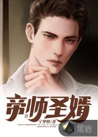 帝师王婿18