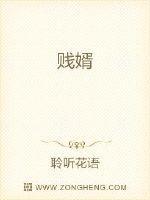 贱婿漫画