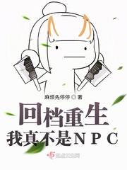 我真的不是npc起点