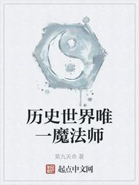 书名历史世界唯一魔法师