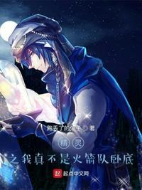 我真的不是精灵研究员