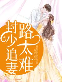 封少追妻路太难全文免费19张