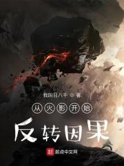 从火影开始的反套路