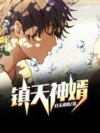 镇天神婿陈宁目录