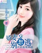 首席娇妻难搞定