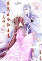 腹黑王爷倾城受