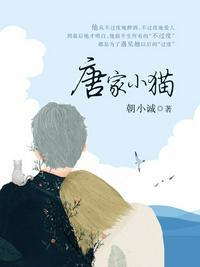 唐家小猫完整版